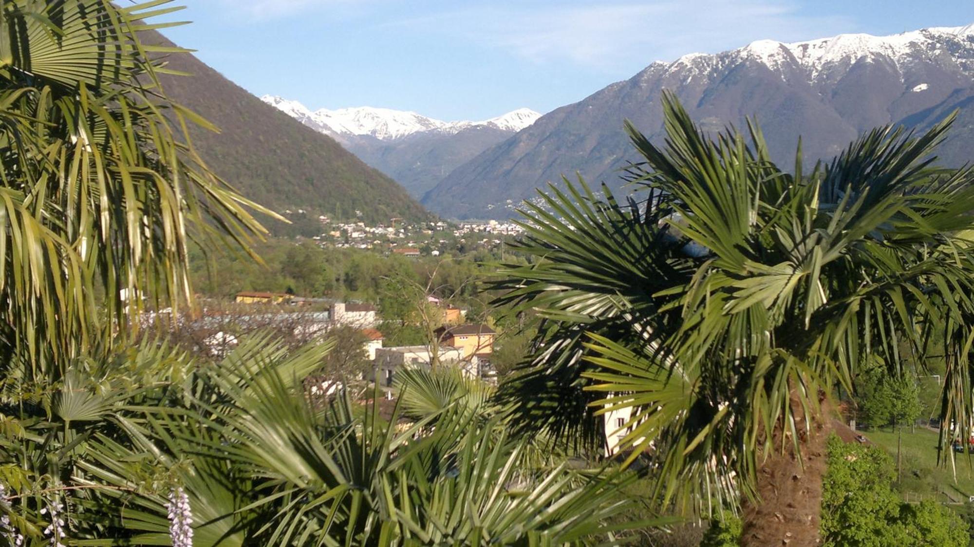 Casa Aries & Studio Aurora, Cavigliano Zimmer foto